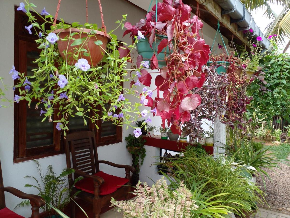 Gem Villa Weligama Bagian luar foto