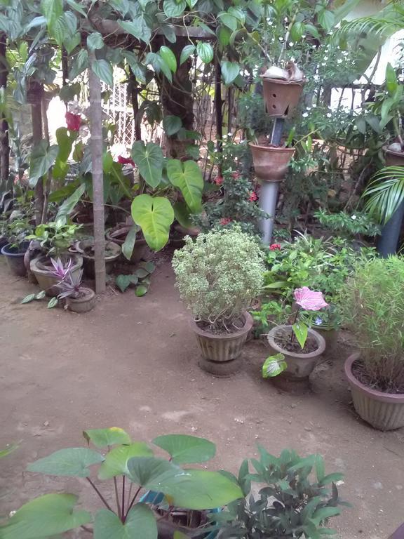 Gem Villa Weligama Bagian luar foto