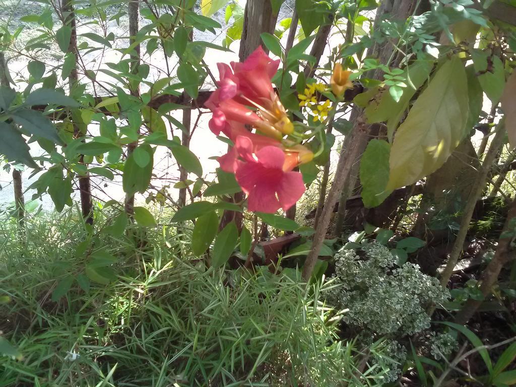 Gem Villa Weligama Bagian luar foto